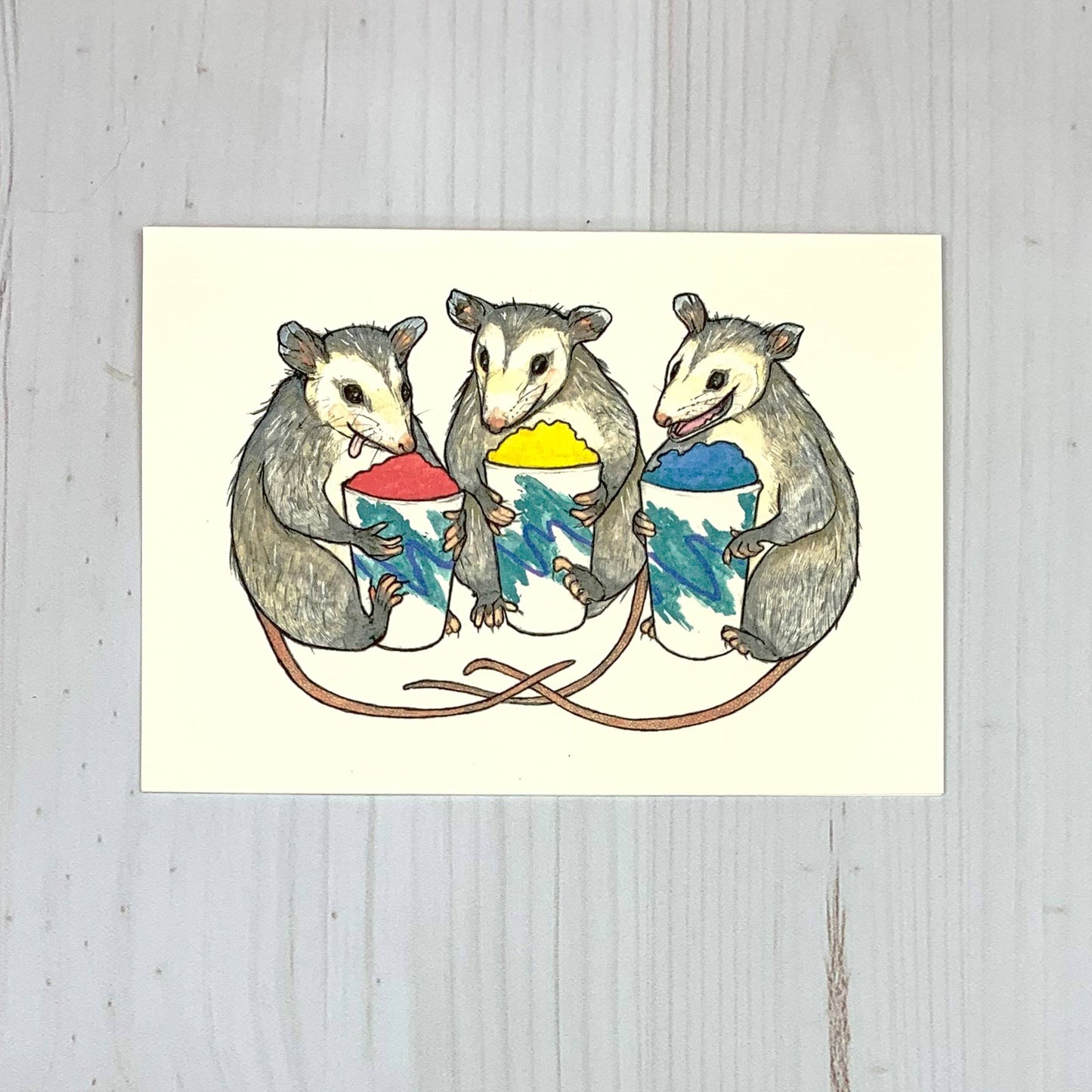 Opossum Water Ice 5x7" Notecard
