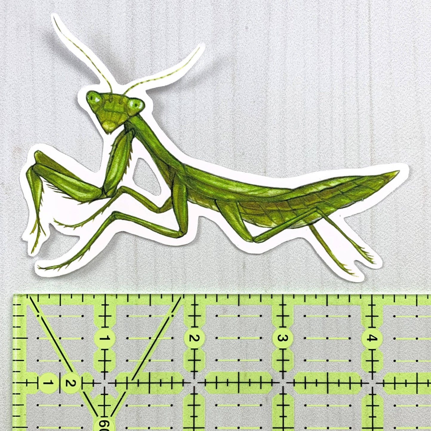Praying Mantis Matte Vinyl Sticker