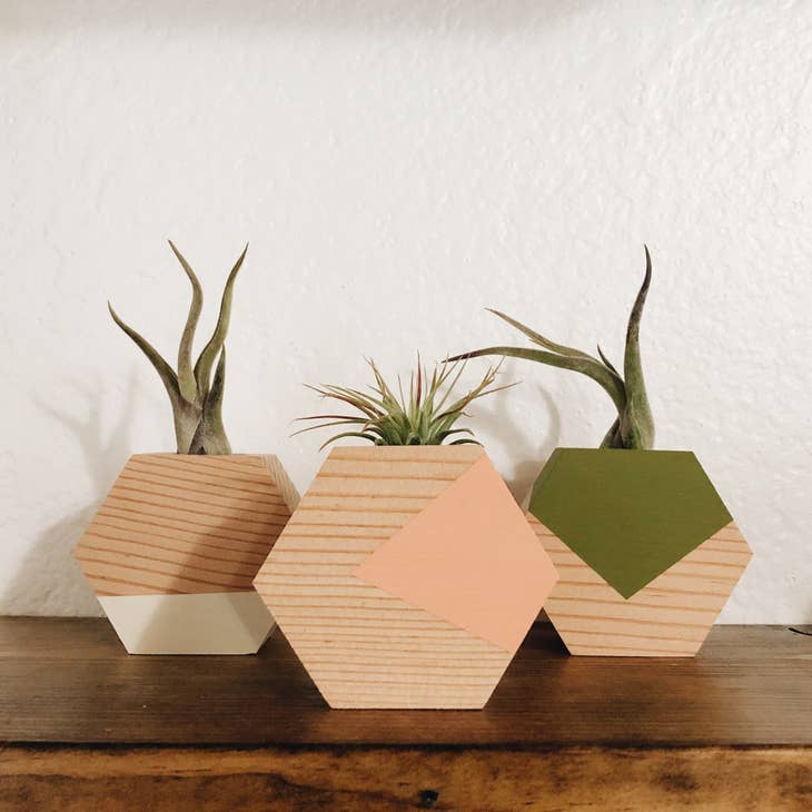 Hexagon Plant Holder w/ Air Plant