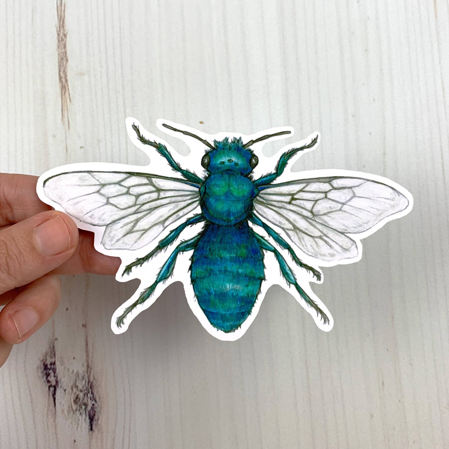 Blue Orchard Mason Bee Vinyl Sticker