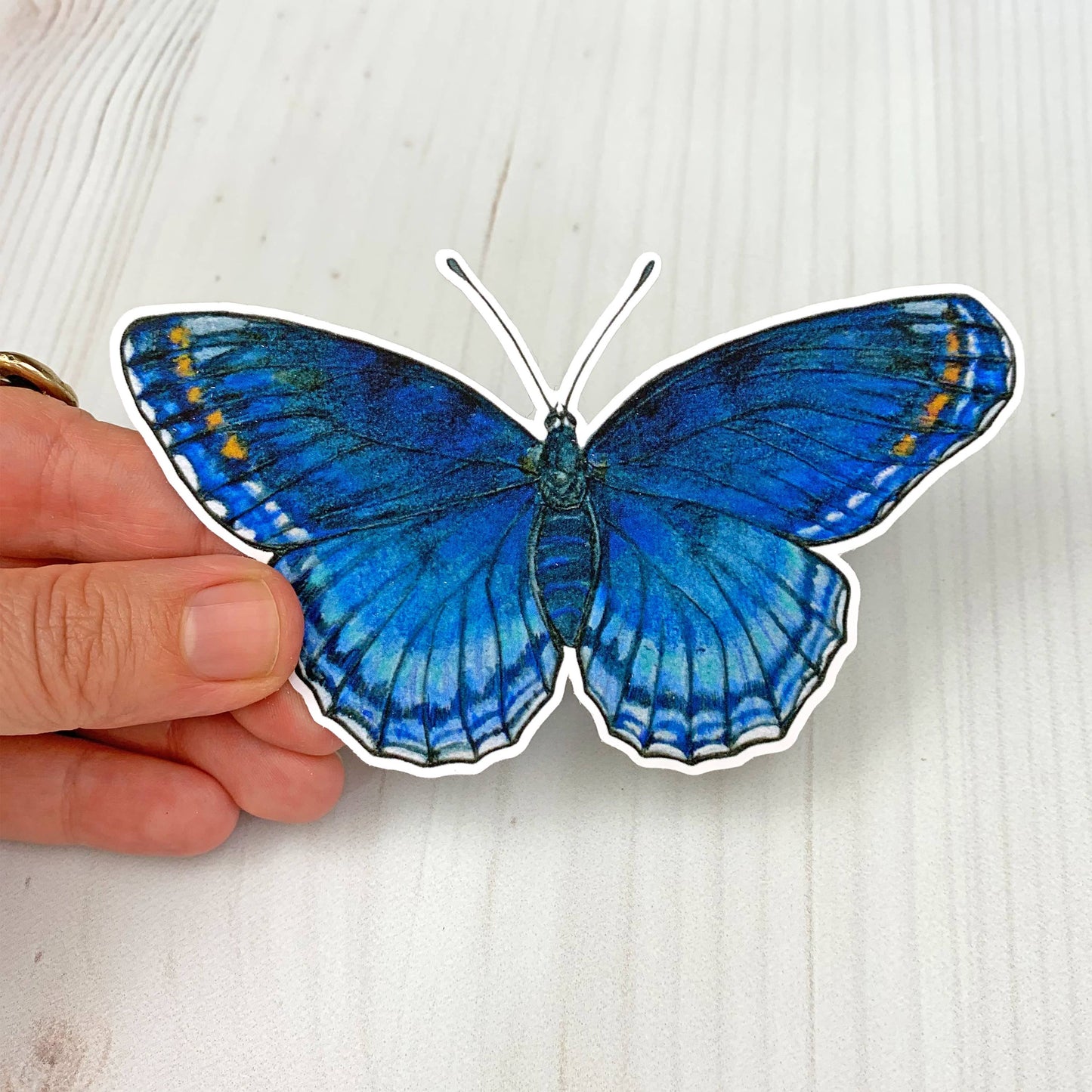 Red Spotted Purple Butterfly Matte Vinyl Sticker