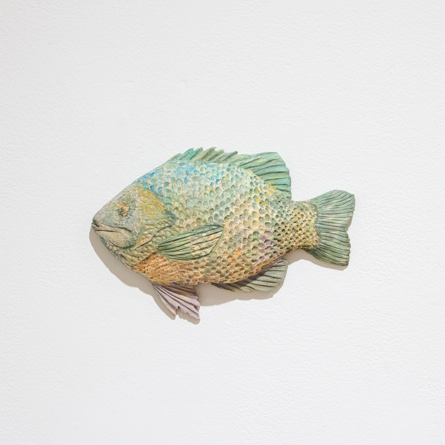 Bluegill (fish)