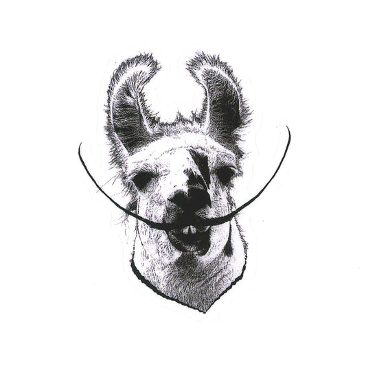 Dali Lama sticker