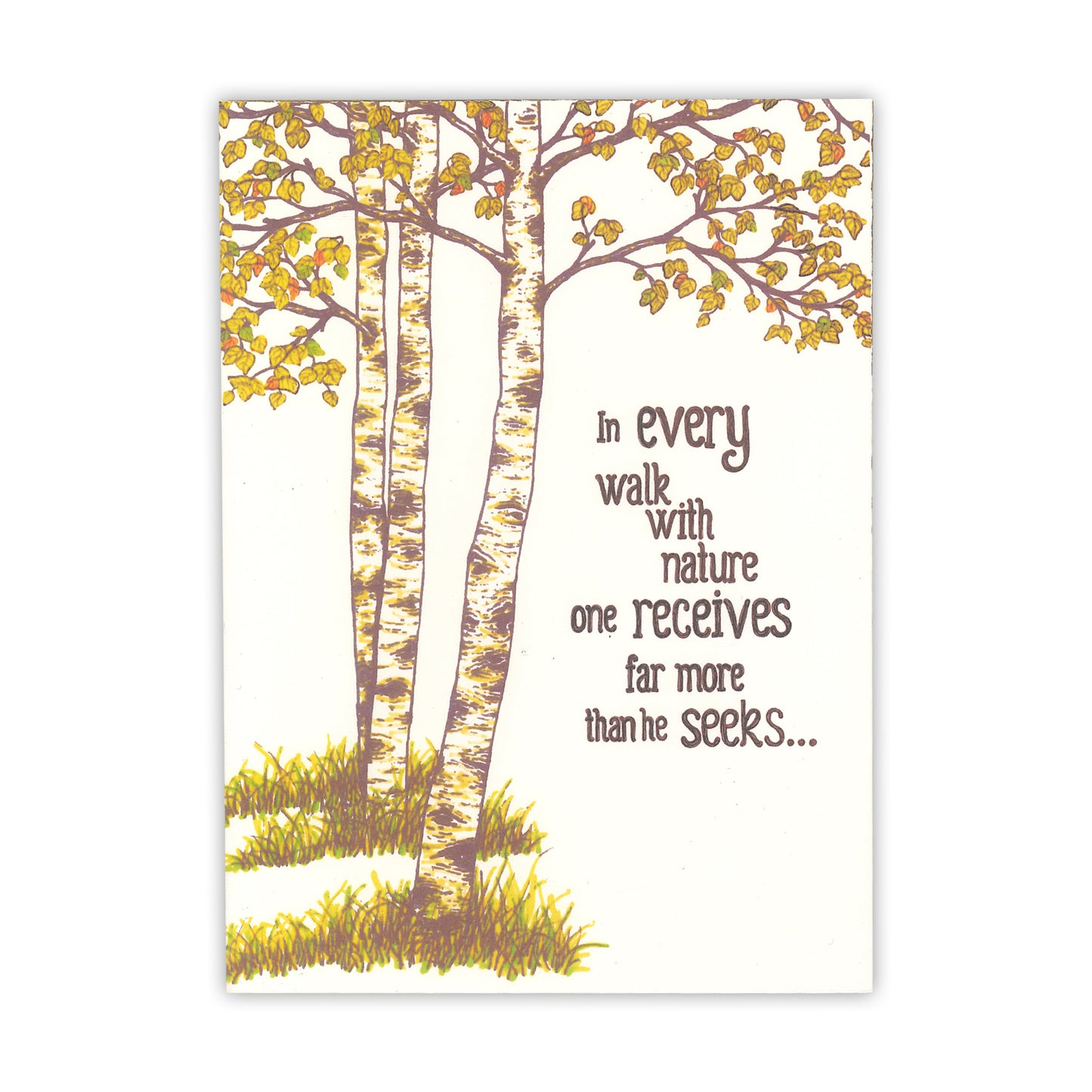 Aspens Walk in Nature Card