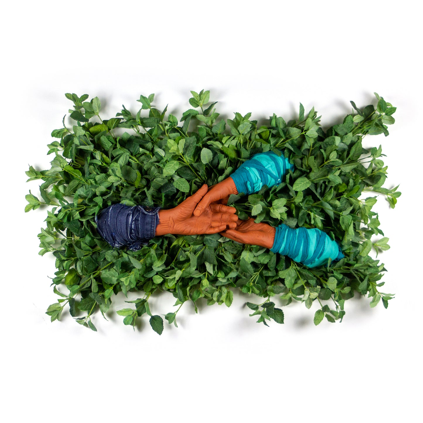 Healing with Mint/Curación con Hierbabuena