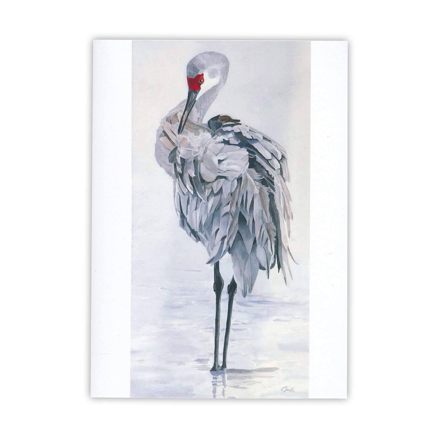 Morning on the River Card