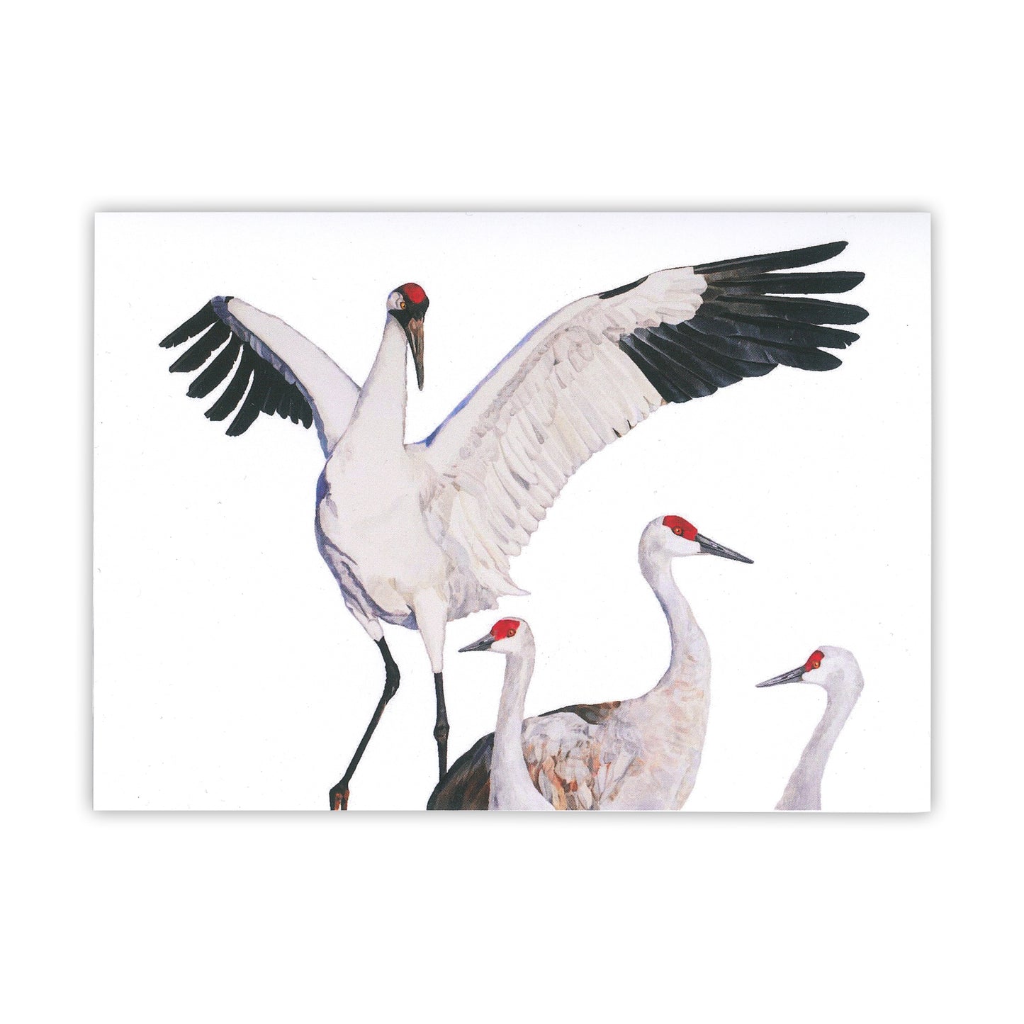 The Whooper Among Us Card