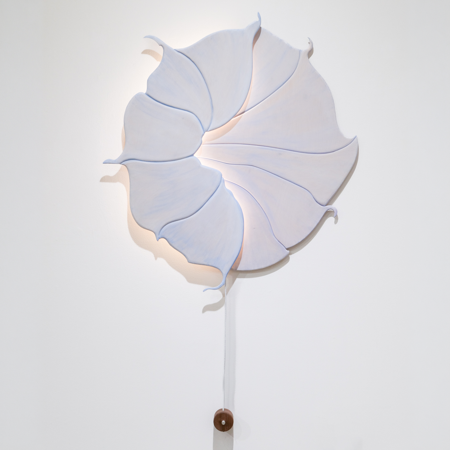 Large Moonflower
