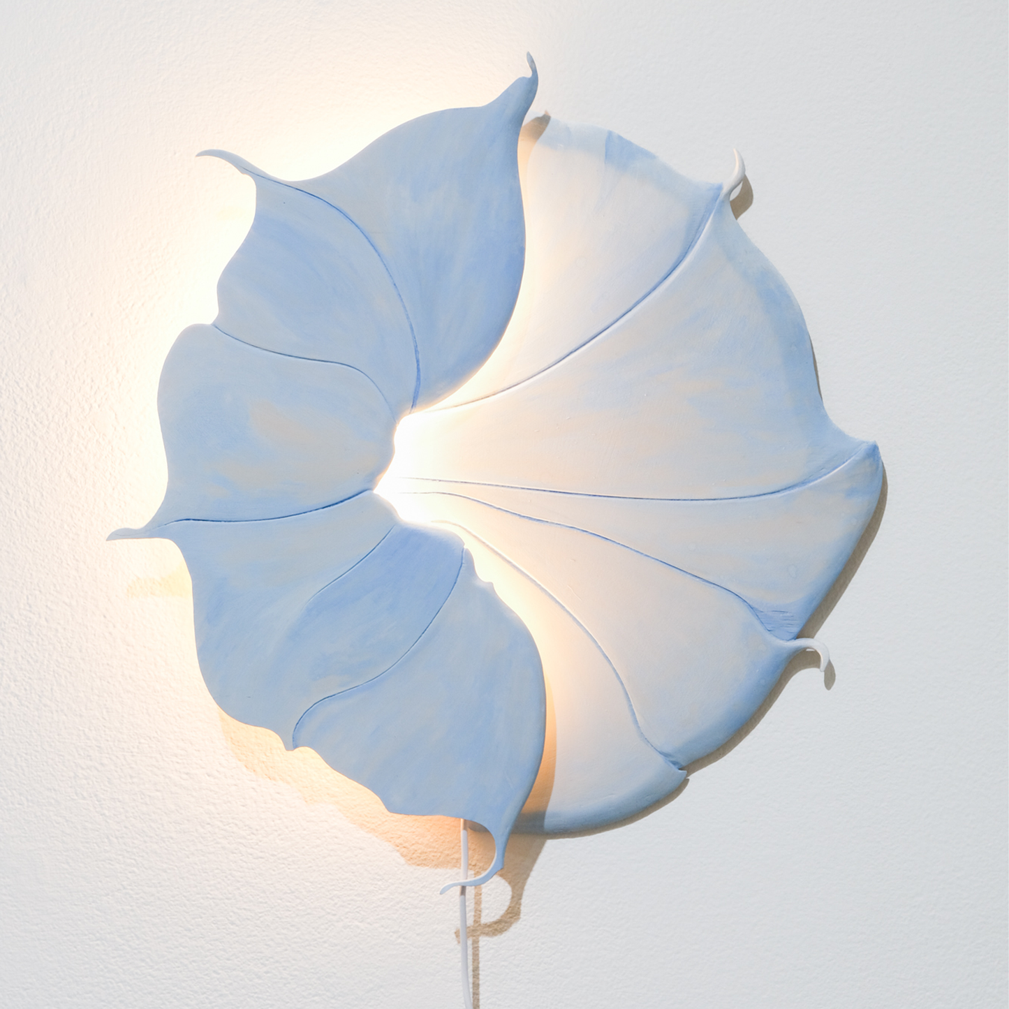 Medium Blue Morning Glory