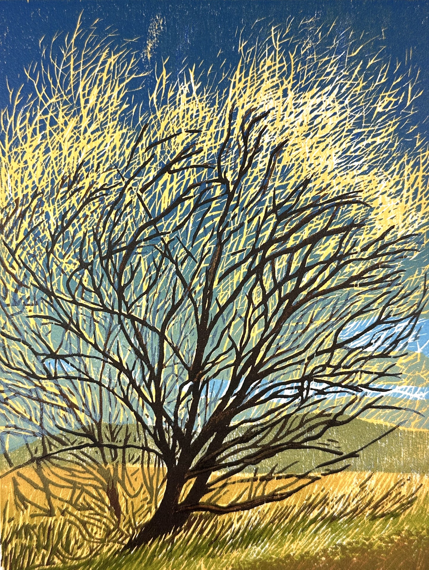 Spring Willow