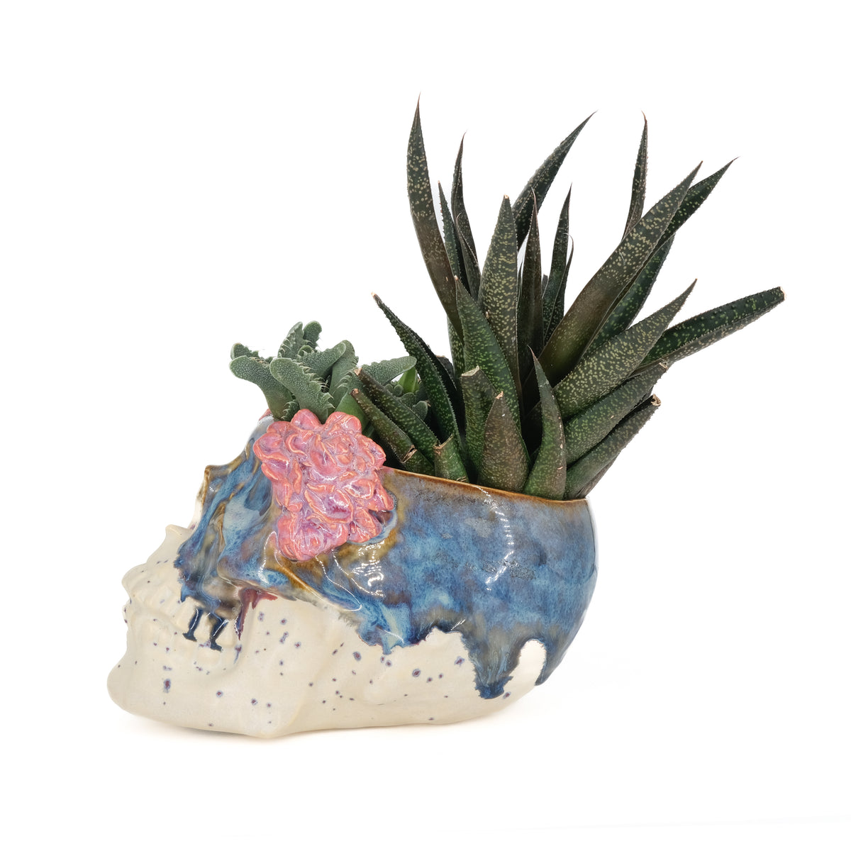 Skull Planter