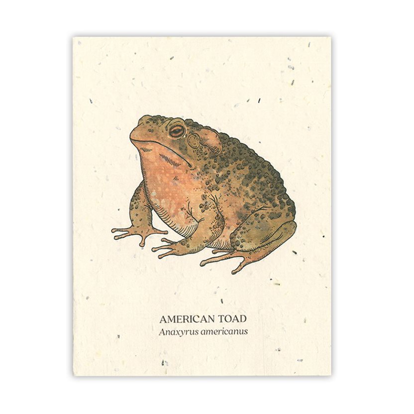 Wildlife Plantable Seed Card