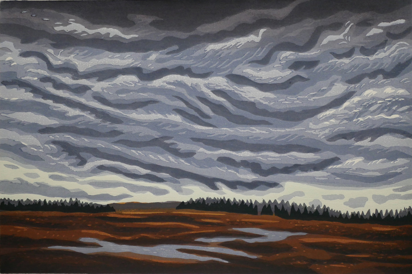 Turbulent Sky Over Corea Heath