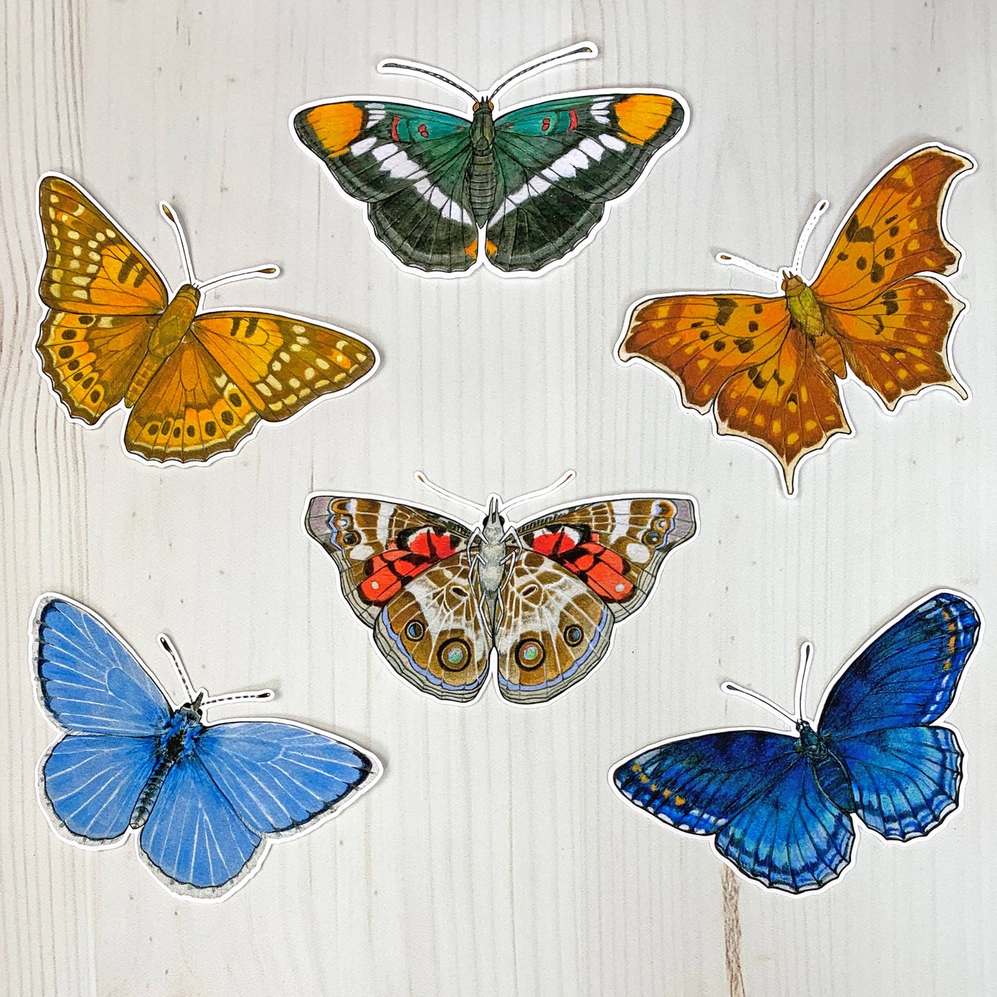 Red Spotted Purple Butterfly Matte Vinyl Sticker