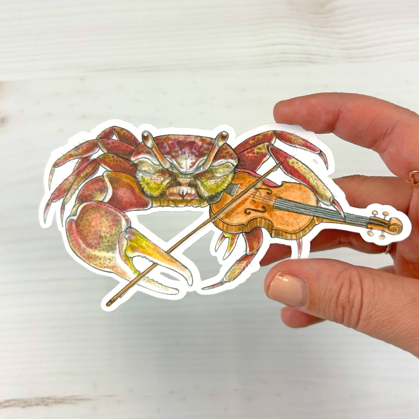 Fiddler Crab Matte Vinyl Sticker