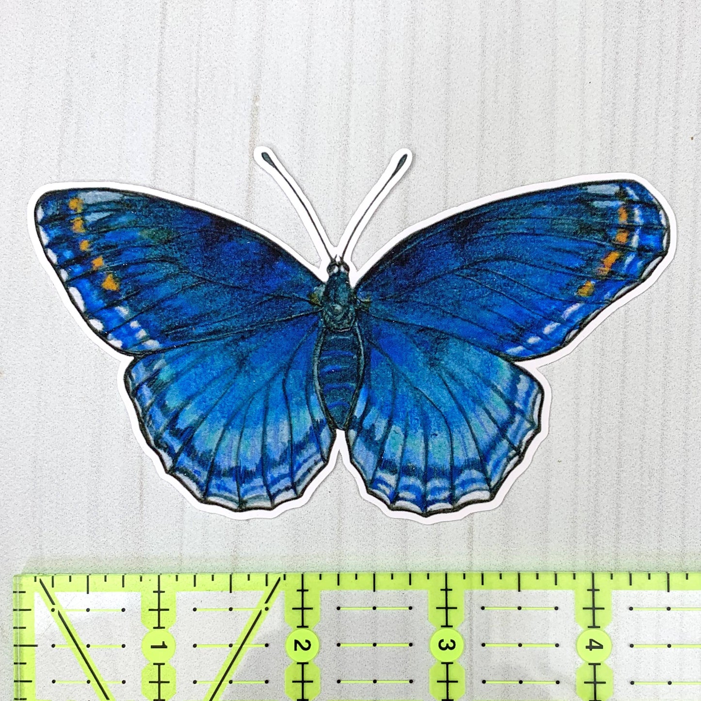 Red Spotted Purple Butterfly Matte Vinyl Sticker