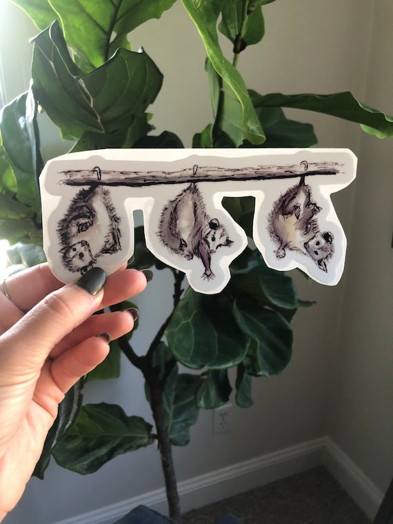 Hanging Possum Trio Matte Vinyl Sticker