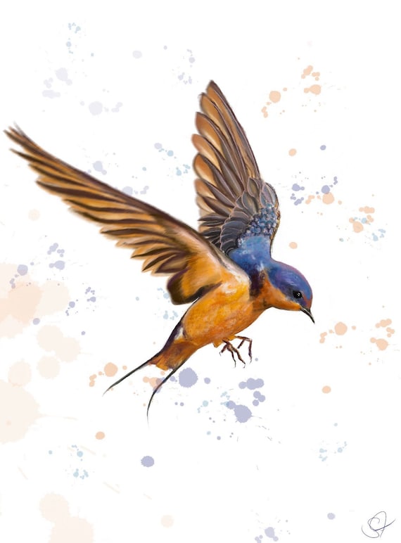 Barn Swallow Matte Vinyl Sticker