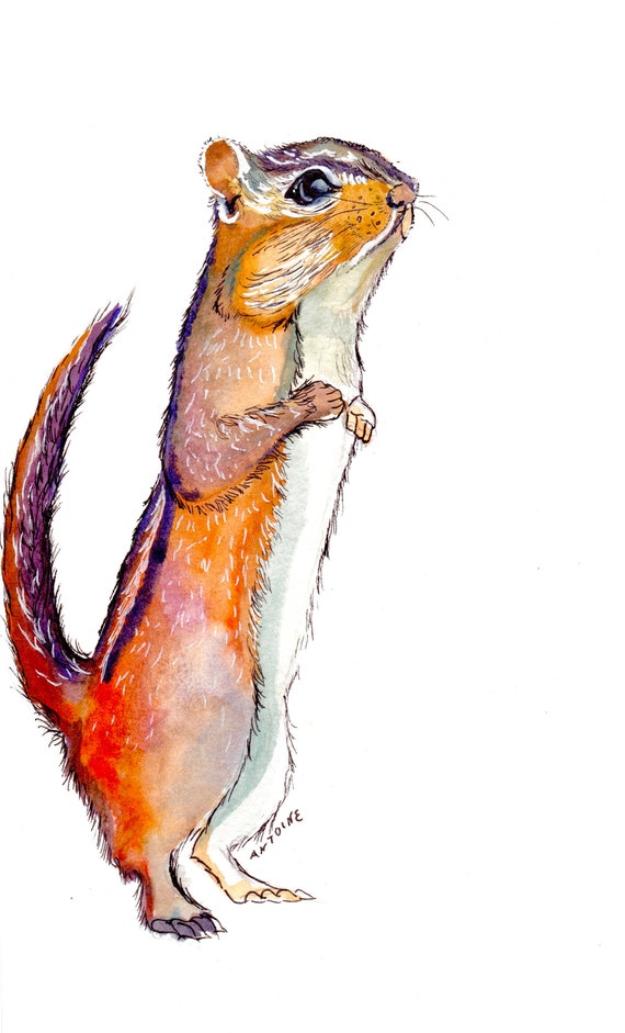 Ground Squirrel Matte Vinyl Sticker