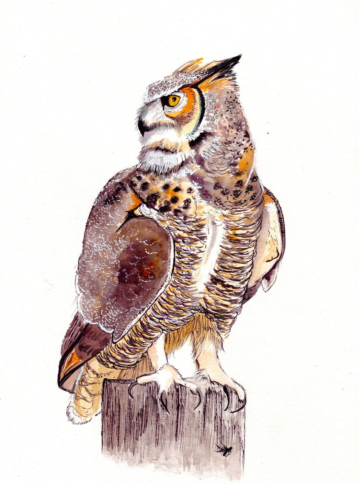 Owl on Log Matte Vinyl Sticker