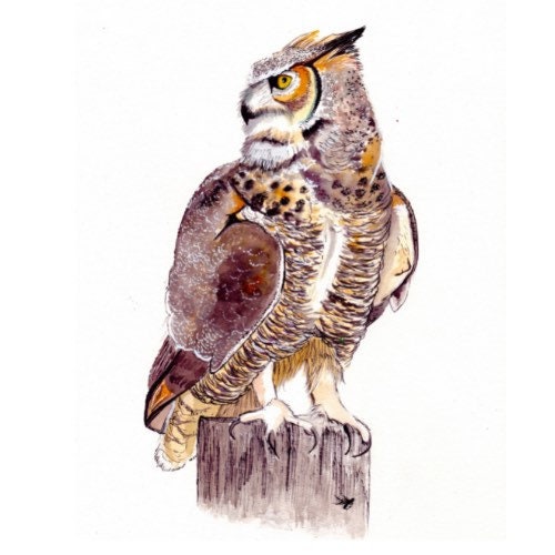 Owl on Log Matte Vinyl Sticker