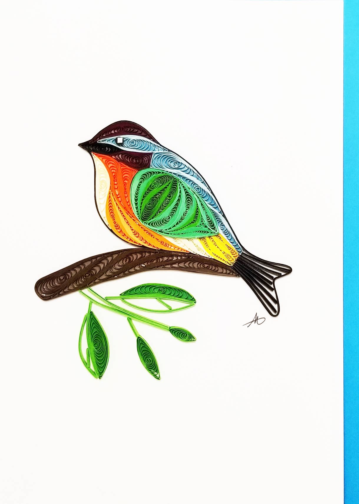 5 Color Bird