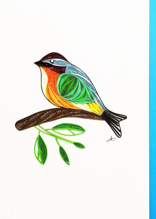 5 Color Bird