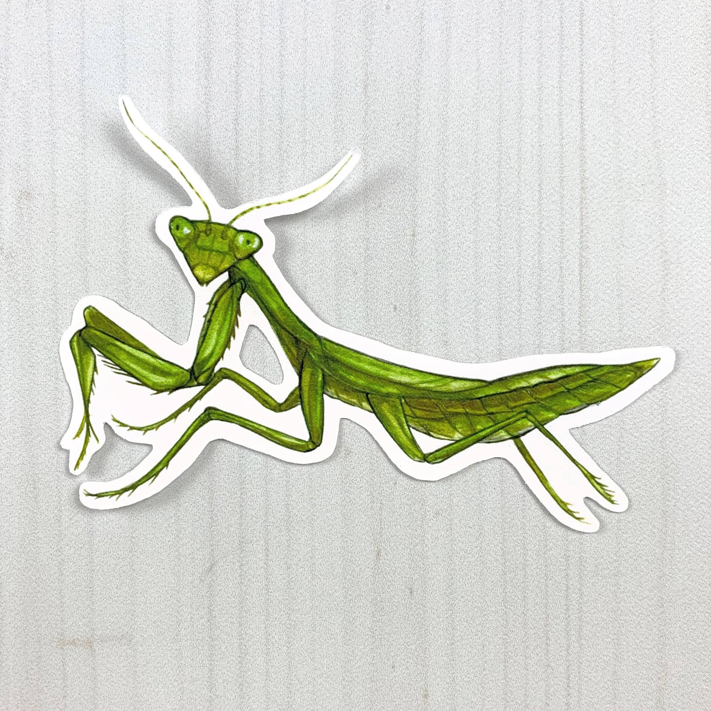 Praying Mantis Matte Vinyl Sticker