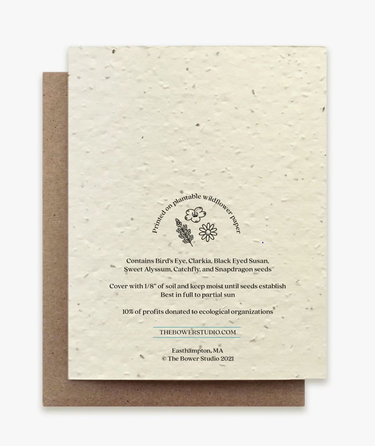 Ladybug Plantable Card