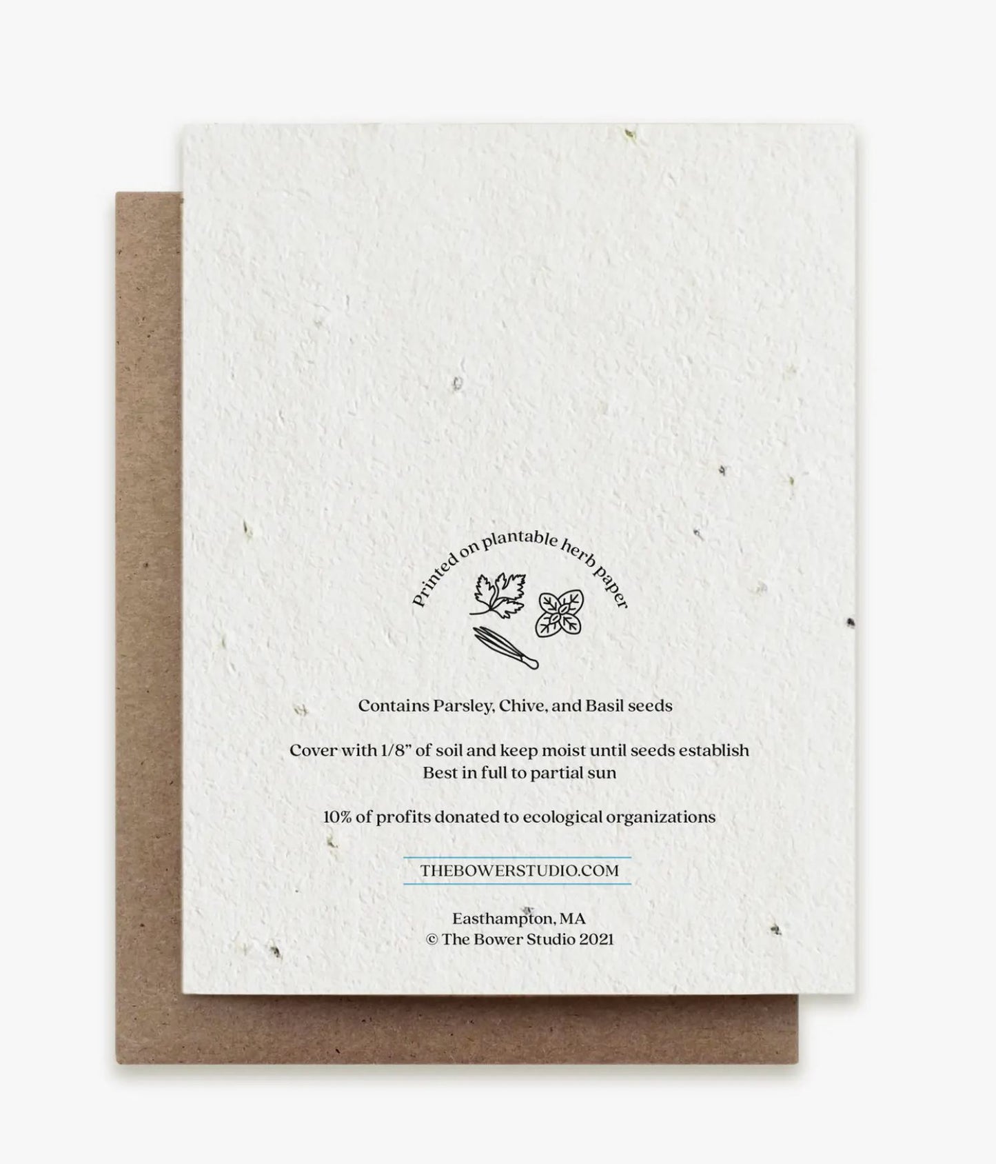 Snowy Owl Plantable Card