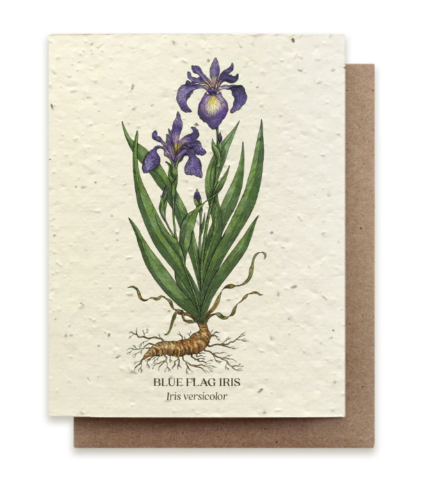 Lavender/Iris Plantable Card