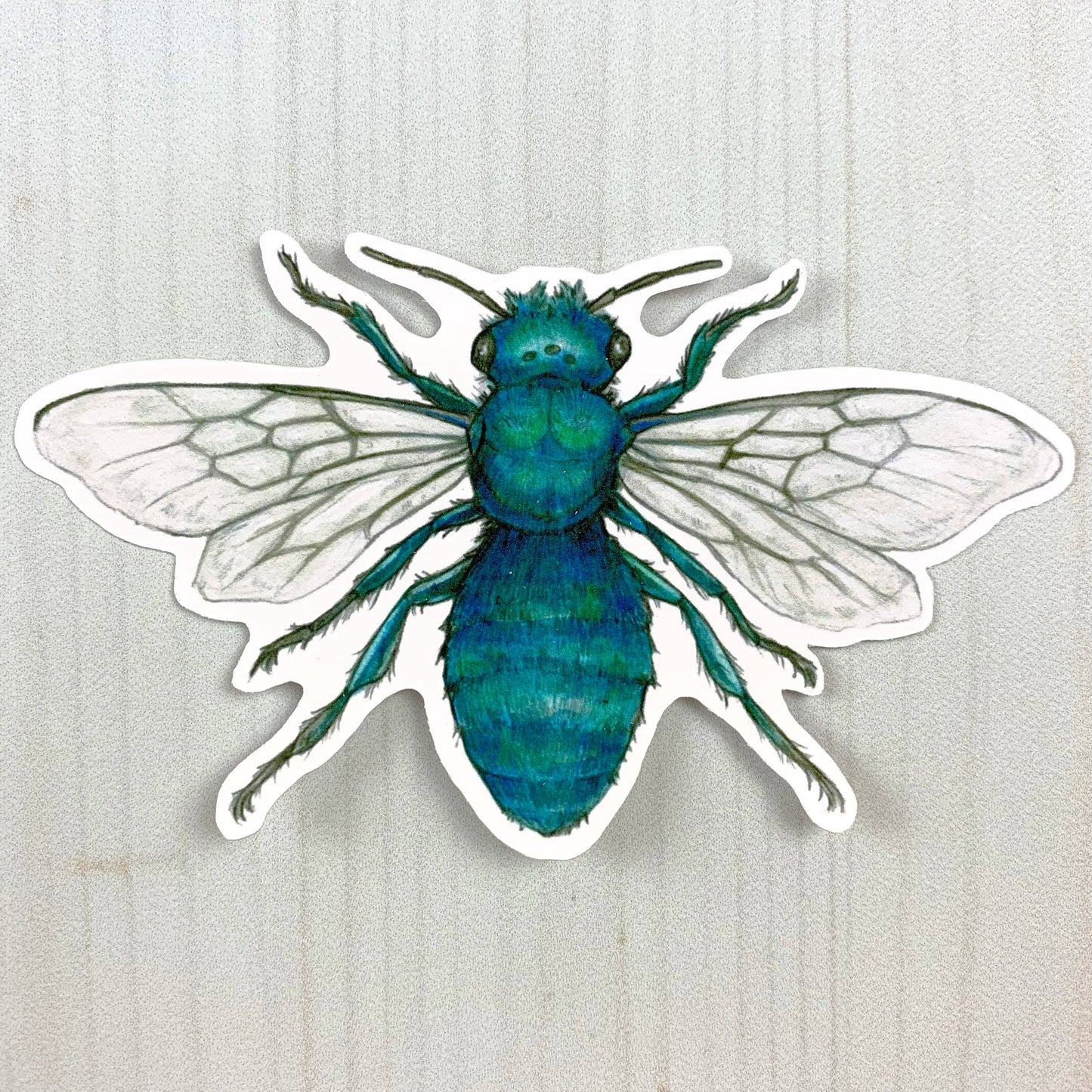 Blue Orchard Mason Bee Vinyl Sticker