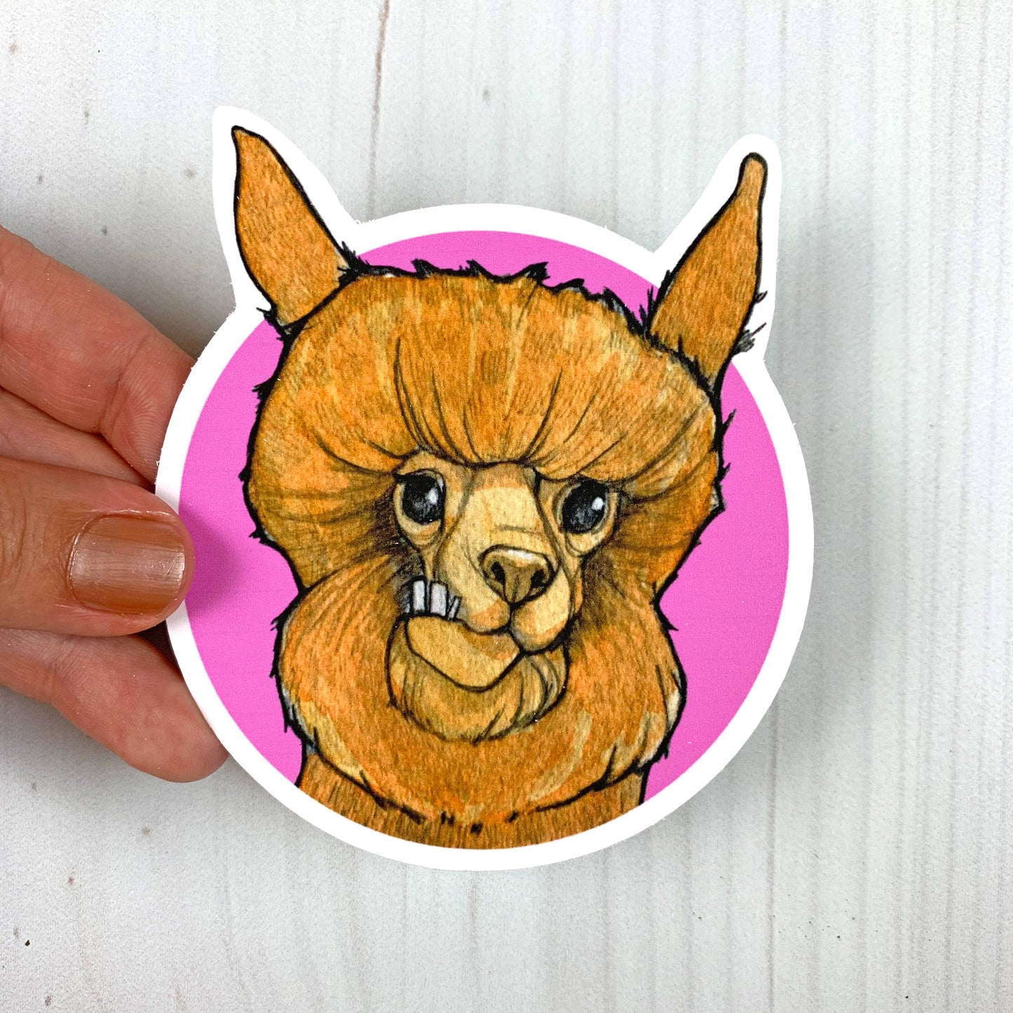 Alpaca Vinyl Sticker
