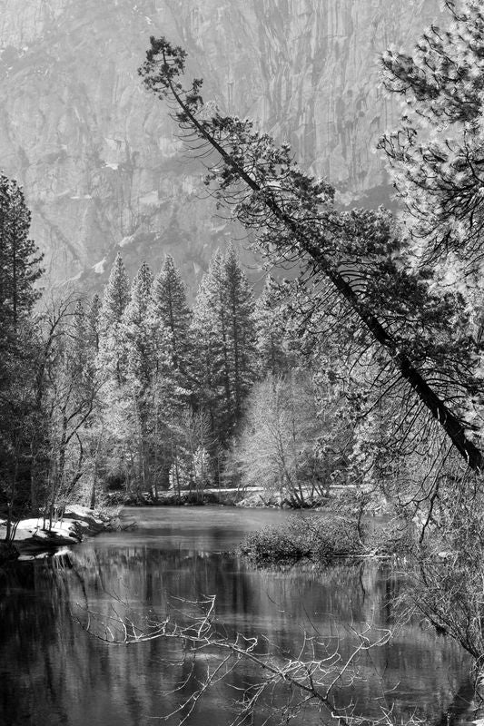 24 x 36" Prints