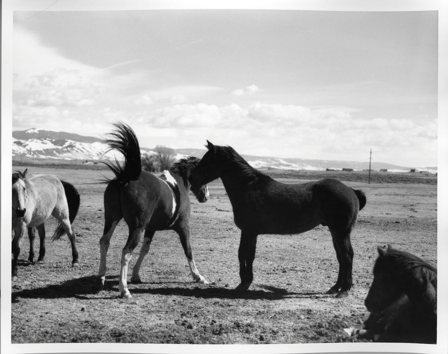 Fiber Based Photography