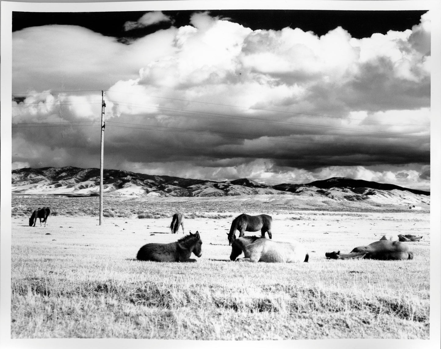 Fiber Based Photography