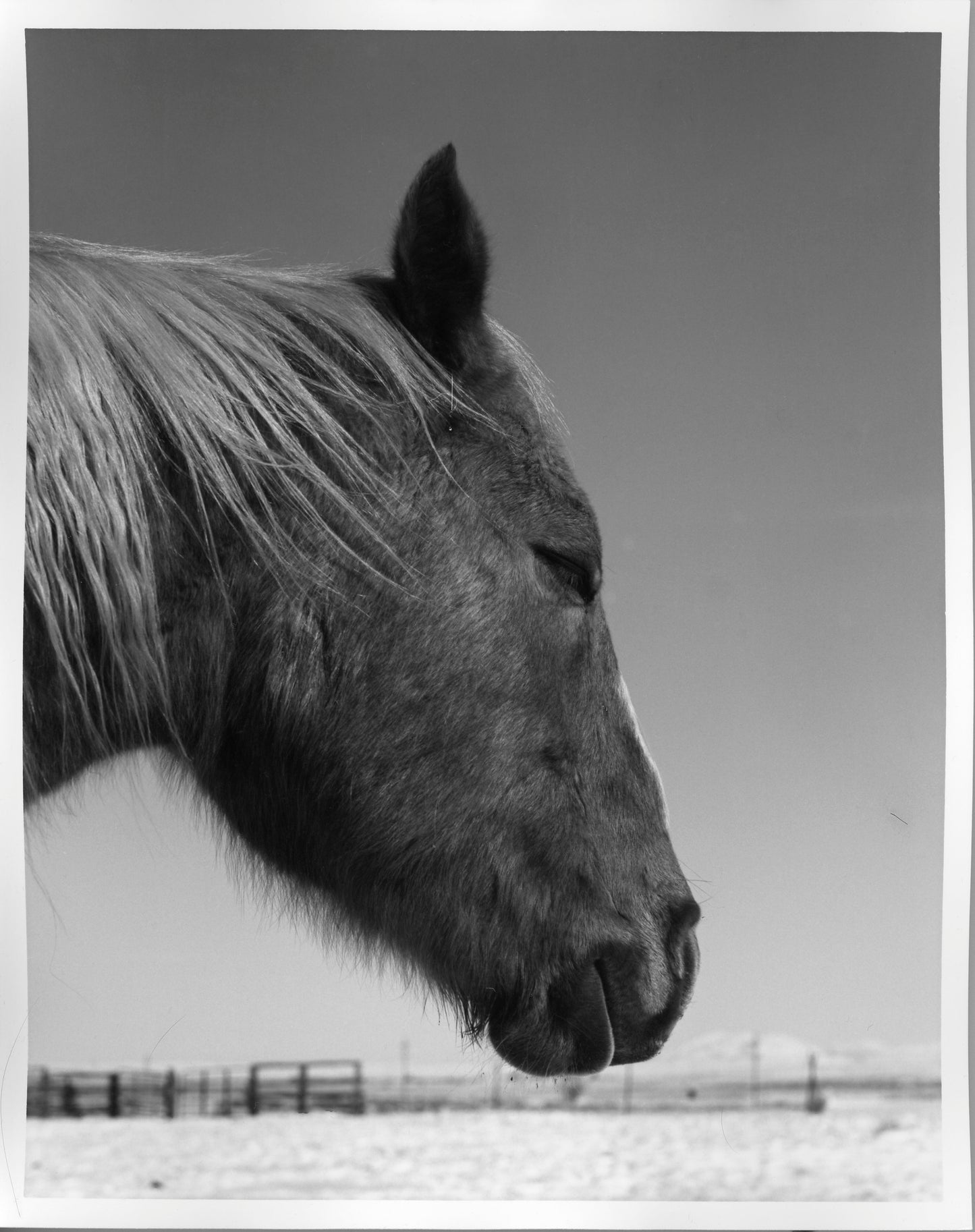 Fiber Based Photography