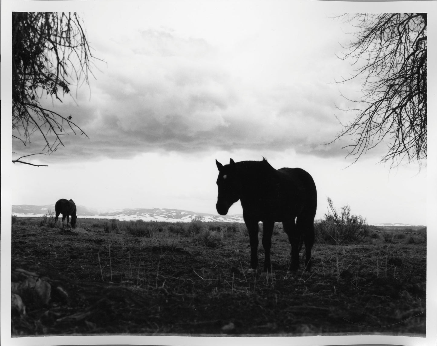 Fiber Based Photography