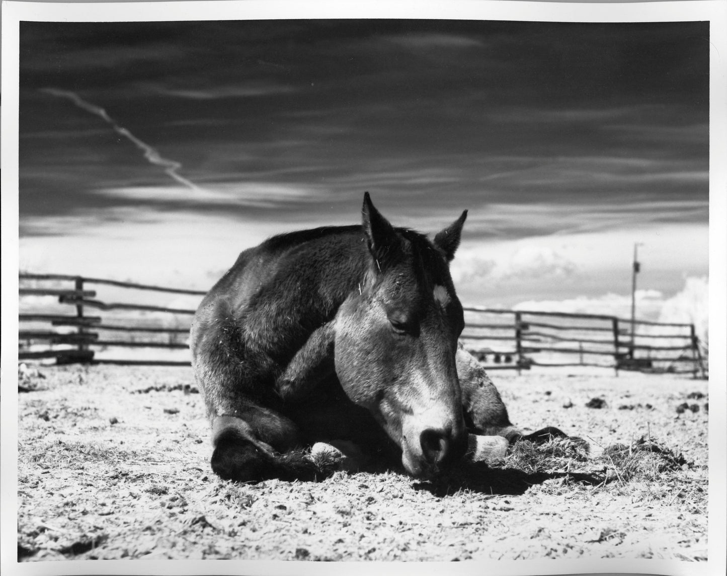 Fiber Based Photography