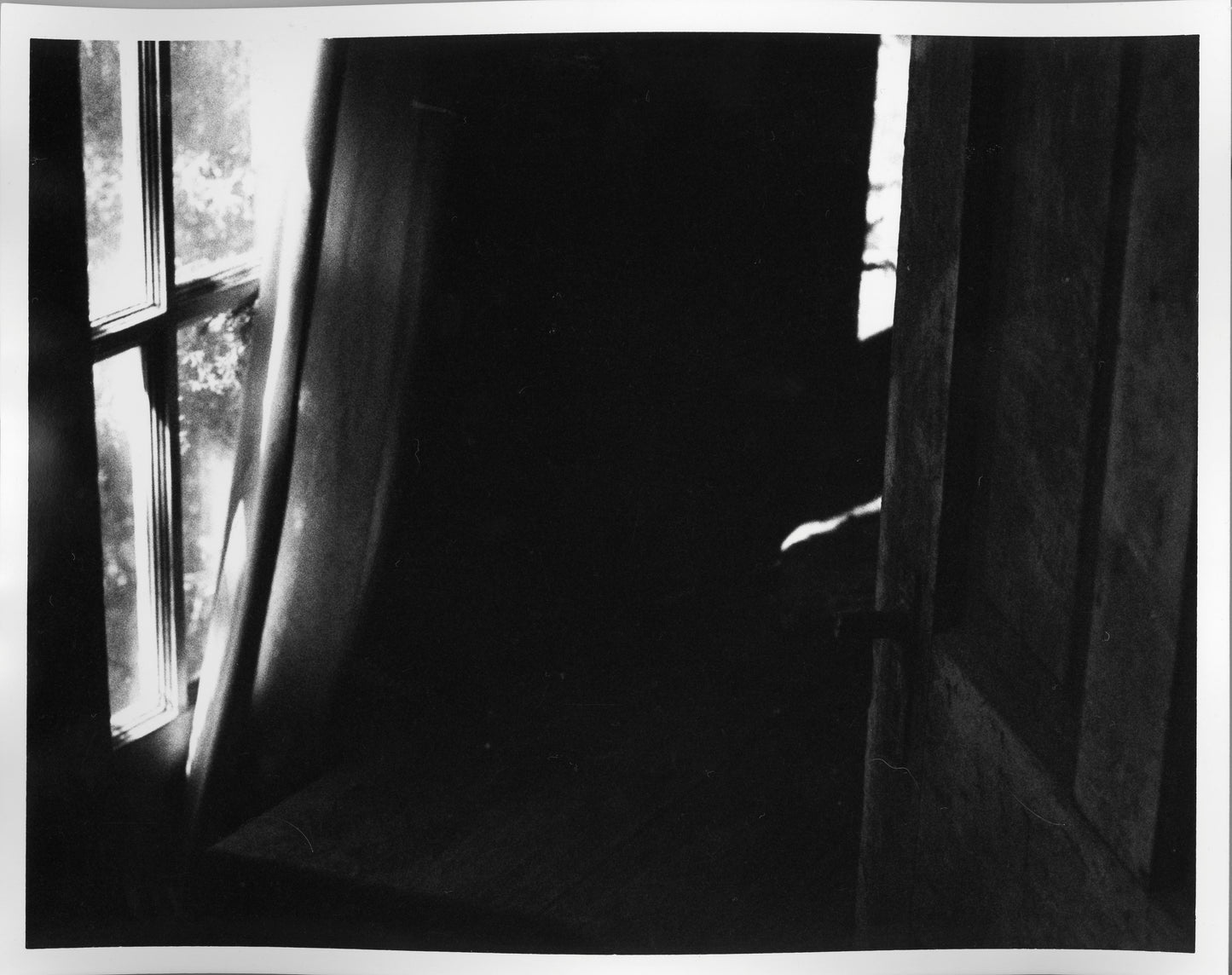 Fiber Based Photography