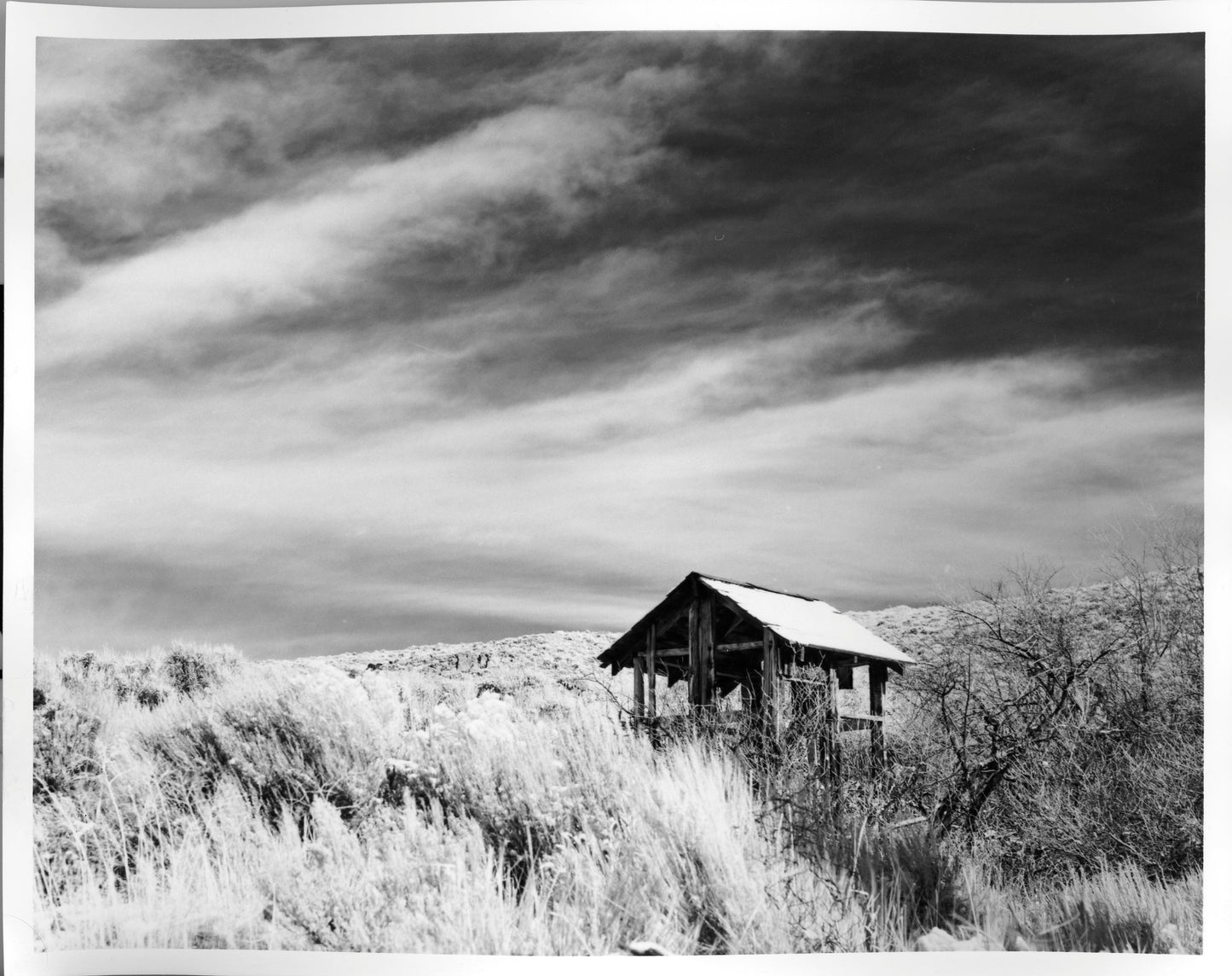 Fiber Based Photography