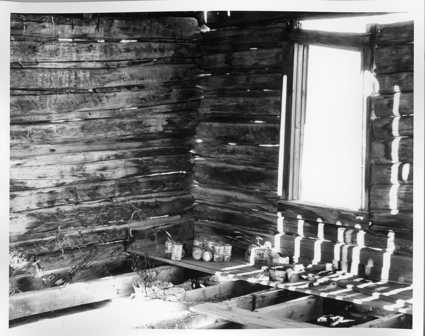 Fiber Based Photography