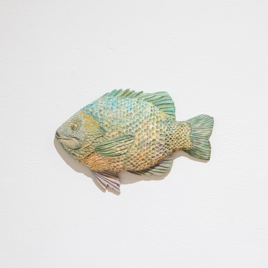 Bluegill (fish)