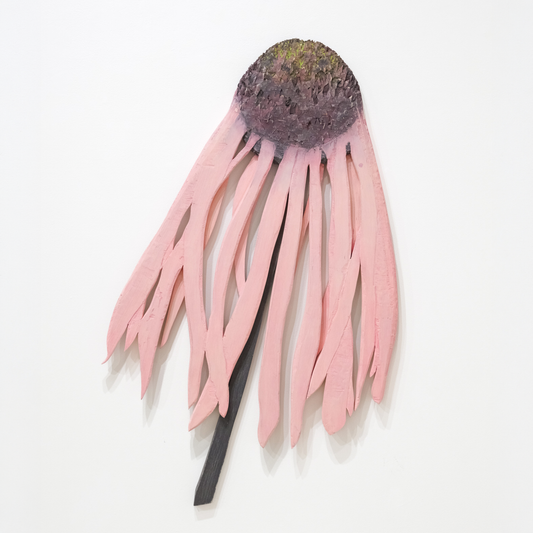 Coneflower