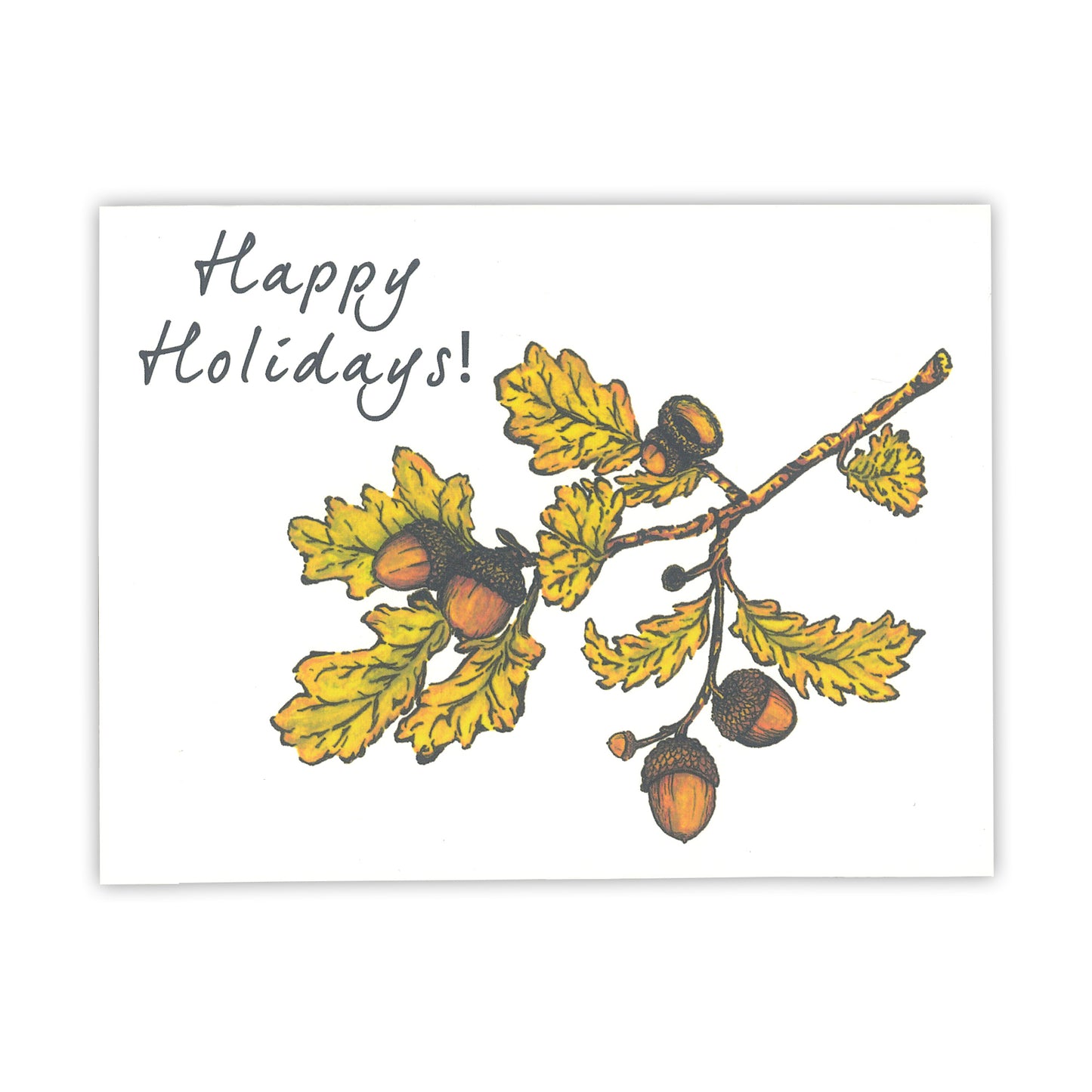 Acorn Happy Holidays Card Set