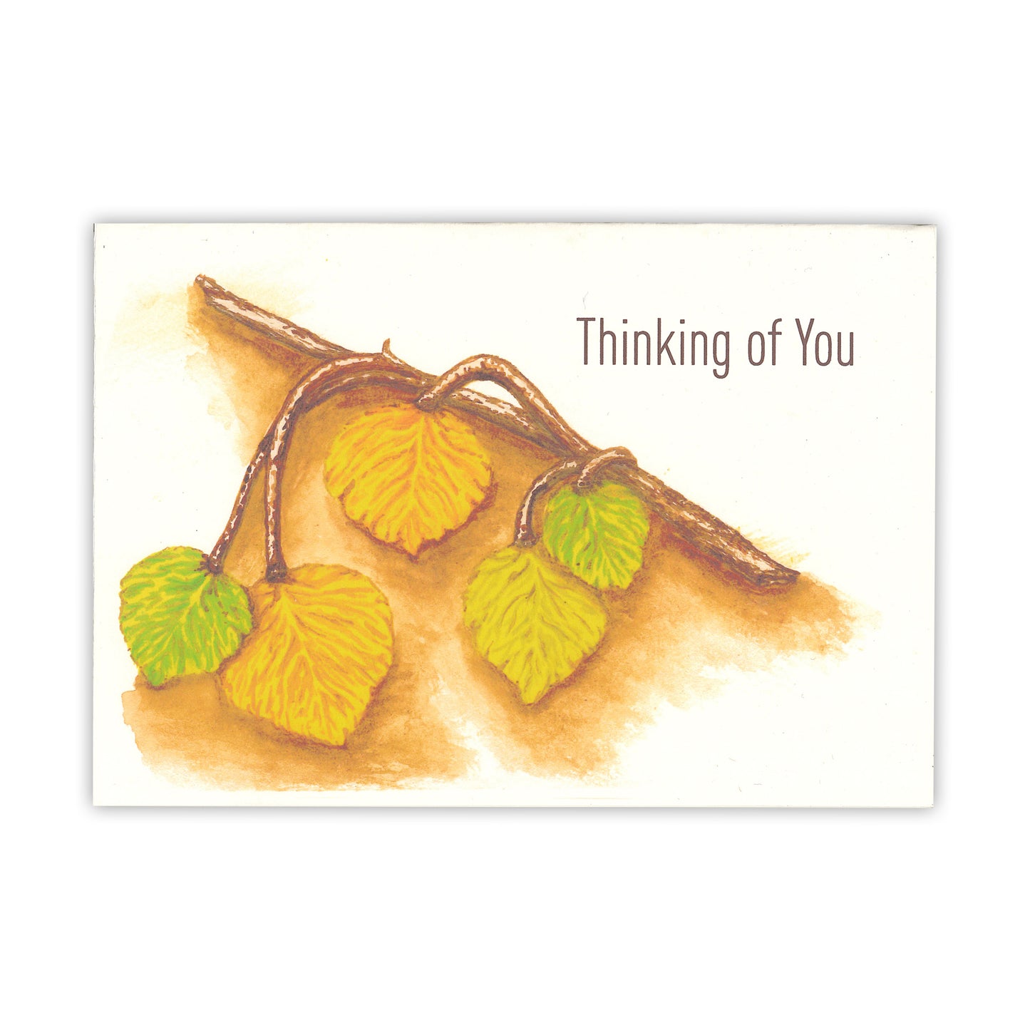 Thinking of You Aspens Card Pack