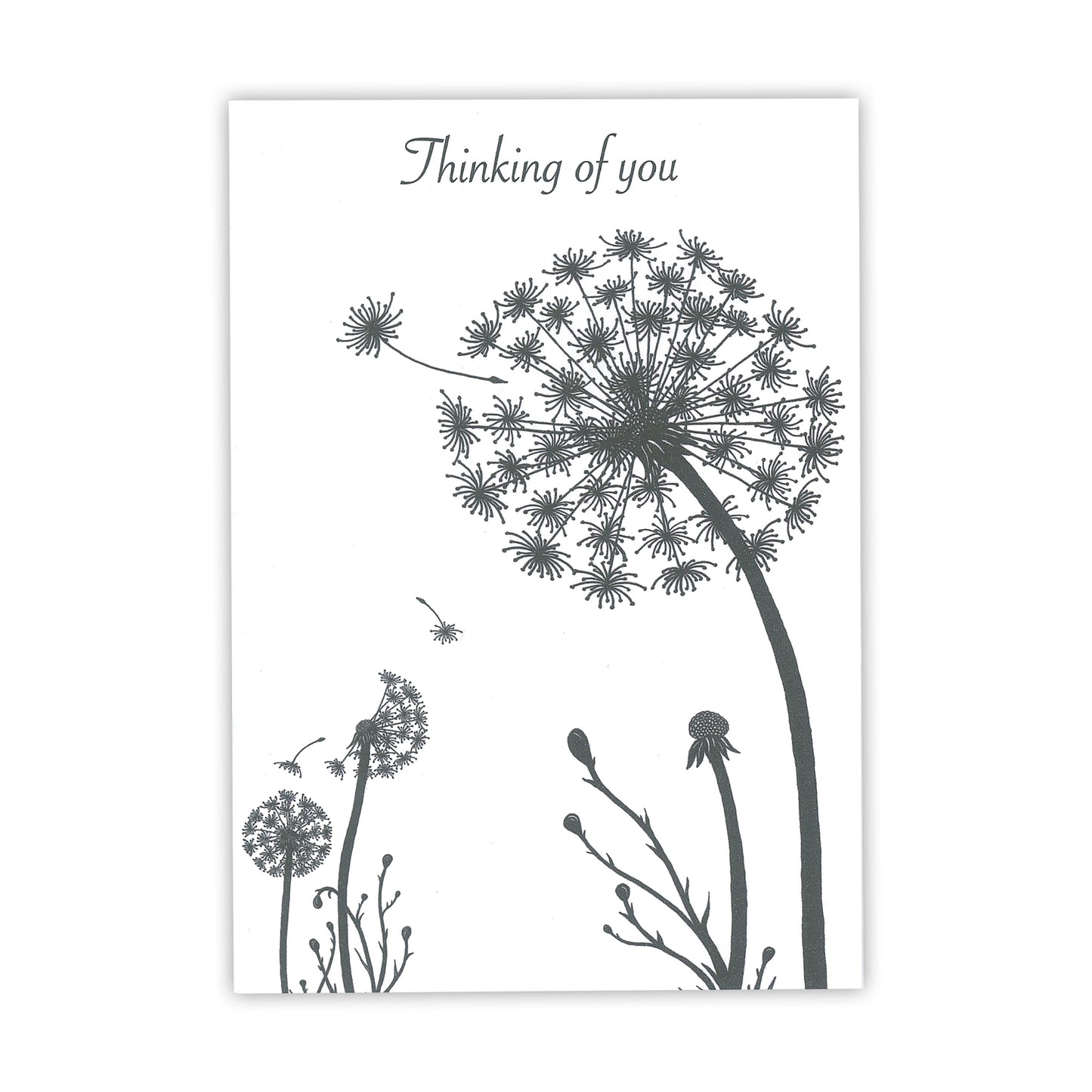 Thinking of You Wishes Card