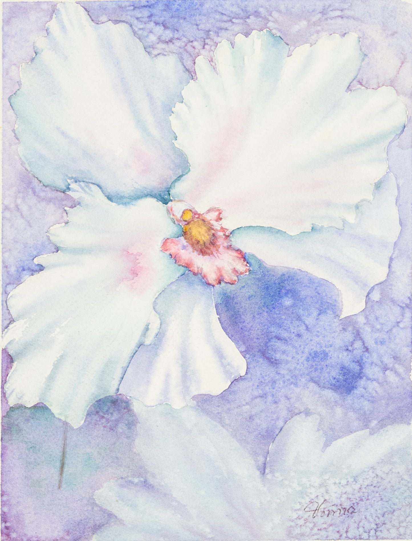 Iris
