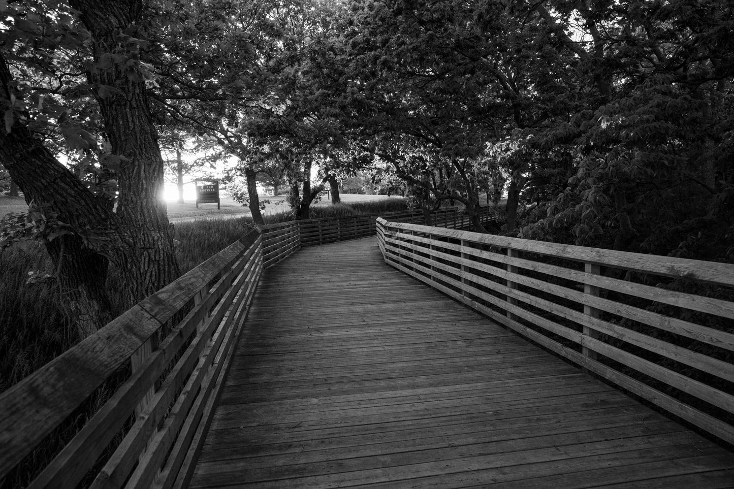 Mahoney State Park #9169