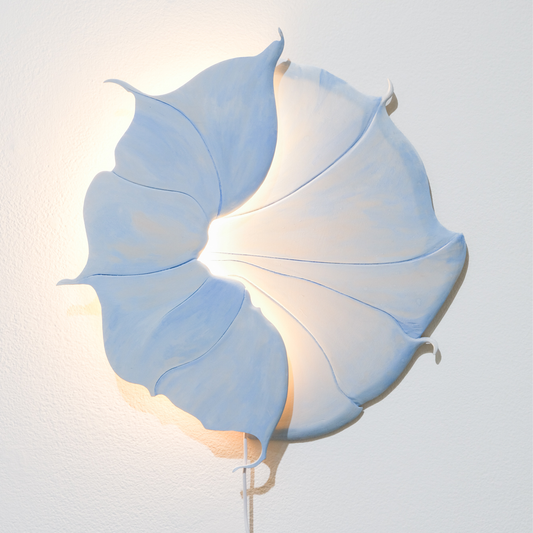 Medium Blue Morning Glory